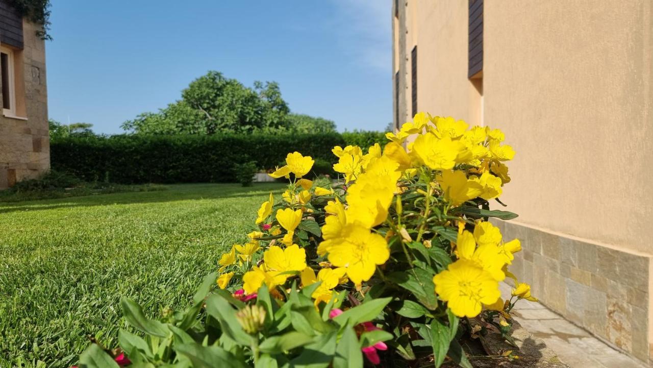 Apartments Sozopoli Hills Exterior photo